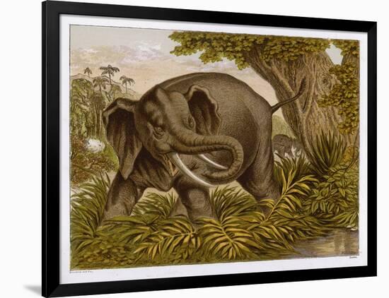 Art Print, , large