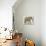 An Indian Elephant-null-Premium Photographic Print displayed on a wall