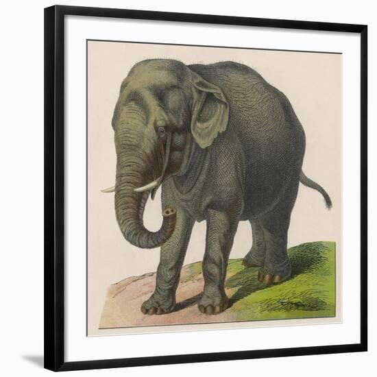 Art Print, , large