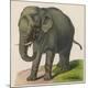 Premium Giclee Print