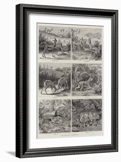 An Indian Tragedy-null-Framed Giclee Print