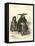 An Indigenous Priest and Collegian-Édouard Riou-Framed Premier Image Canvas