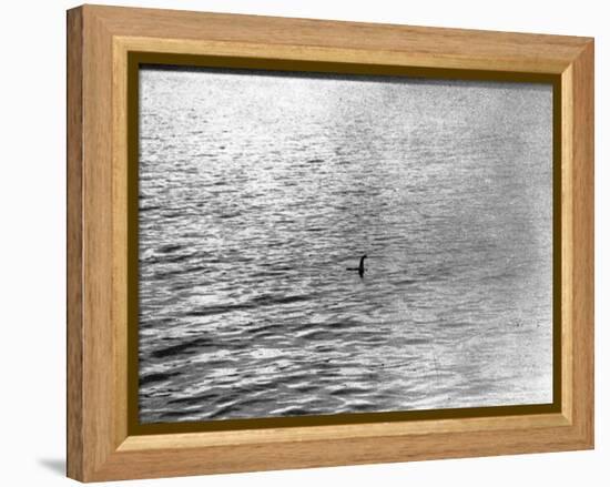 An Infamous Image of the Loch Ness Monster-null-Framed Premier Image Canvas