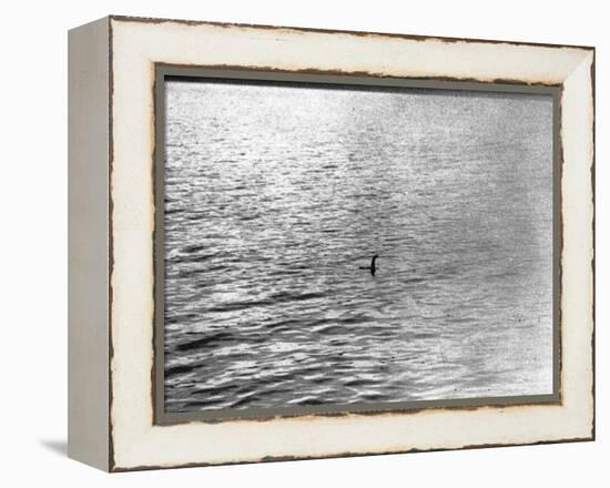 An Infamous Image of the Loch Ness Monster-null-Framed Premier Image Canvas