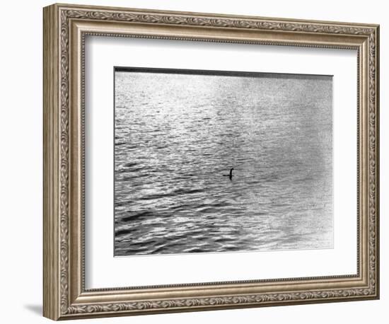 An Infamous Image of the Loch Ness Monster-null-Framed Photographic Print