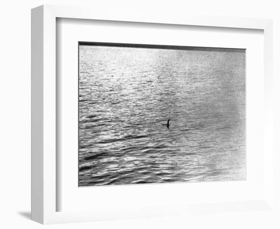 An Infamous Image of the Loch Ness Monster-null-Framed Photographic Print