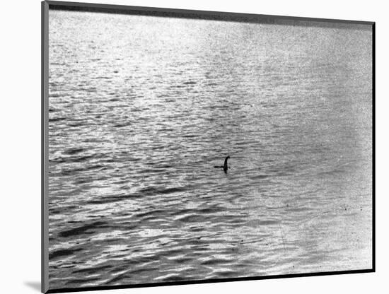 An Infamous Image of the Loch Ness Monster-null-Mounted Photographic Print