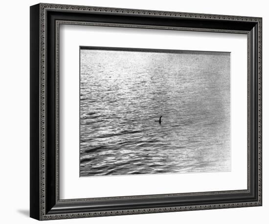 An Infamous Image of the Loch Ness Monster-null-Framed Photographic Print