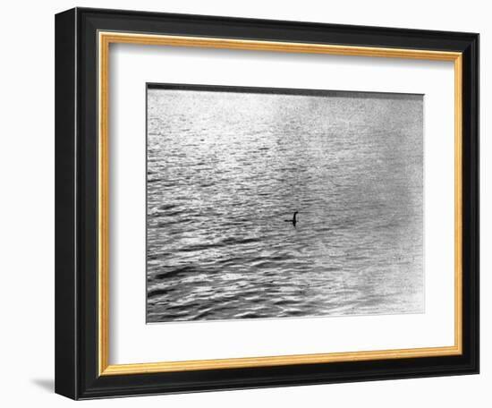 An Infamous Image of the Loch Ness Monster-null-Framed Photographic Print