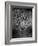 An Intense Stare-Jai Johnson-Framed Giclee Print