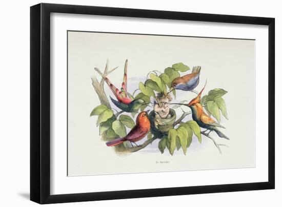An Intruder, Illustration from 'In Fairyland: A Series of Pictures from the Elf-World' by William A-Richard Doyle-Framed Giclee Print