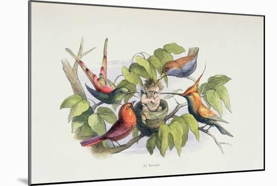 An Intruder, Illustration from 'In Fairyland: A Series of Pictures from the Elf-World' by William A-Richard Doyle-Mounted Giclee Print