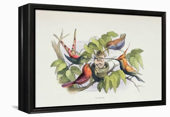 An Intruder, Illustration from 'In Fairyland: A Series of Pictures from the Elf-World' by William A-Richard Doyle-Framed Premier Image Canvas