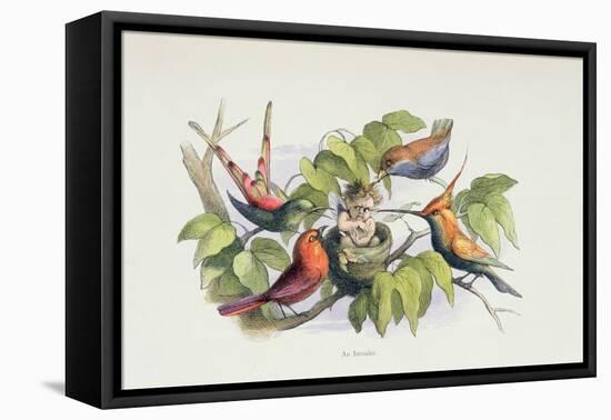 An Intruder, Illustration from 'In Fairyland: A Series of Pictures from the Elf-World' by William A-Richard Doyle-Framed Premier Image Canvas