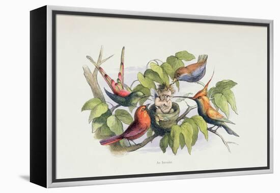 An Intruder, Illustration from 'In Fairyland: A Series of Pictures from the Elf-World' by William A-Richard Doyle-Framed Premier Image Canvas