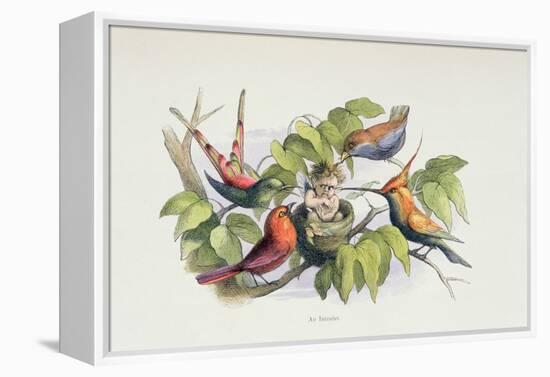 An Intruder, Illustration from 'In Fairyland: A Series of Pictures from the Elf-World' by William A-Richard Doyle-Framed Premier Image Canvas