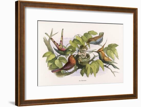 An Intruding Elf Makes Himself at Home in a Birds Nest-Richard Doyle-Framed Art Print