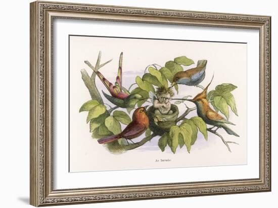 An Intruding Elf Makes Himself at Home in a Birds Nest-Richard Doyle-Framed Art Print