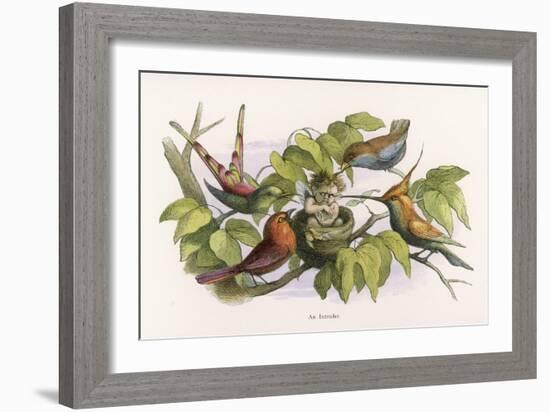 An Intruding Elf Makes Himself at Home in a Birds Nest-Richard Doyle-Framed Art Print