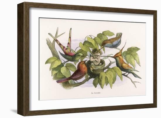 An Intruding Elf Makes Himself at Home in a Birds Nest-Richard Doyle-Framed Art Print