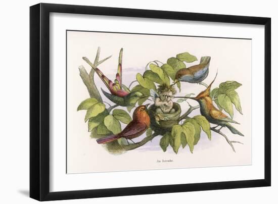 An Intruding Elf Makes Himself at Home in a Birds Nest-Richard Doyle-Framed Art Print