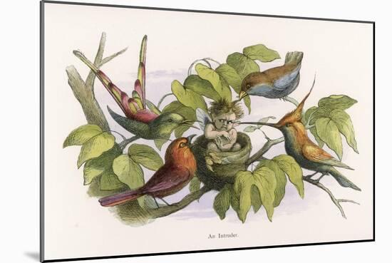 An Intruding Elf Makes Himself at Home in a Birds Nest-Richard Doyle-Mounted Art Print