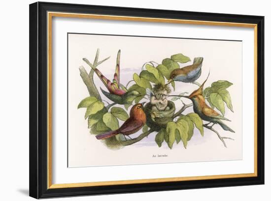 An Intruding Elf Makes Himself at Home in a Birds Nest-Richard Doyle-Framed Art Print