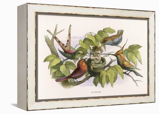 An Intruding Elf Makes Himself at Home in a Birds Nest-Richard Doyle-Framed Stretched Canvas