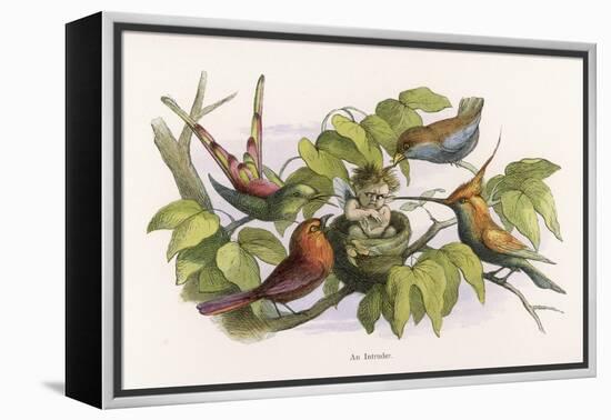 An Intruding Elf Makes Himself at Home in a Birds Nest-Richard Doyle-Framed Stretched Canvas