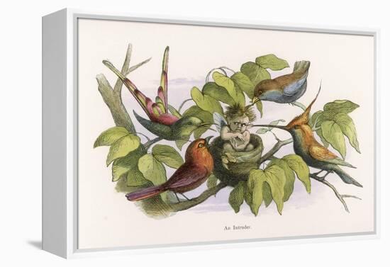 An Intruding Elf Makes Himself at Home in a Birds Nest-Richard Doyle-Framed Stretched Canvas