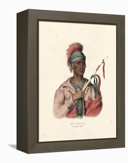 An Ioway Chief-McKenney & Hall-Framed Stretched Canvas