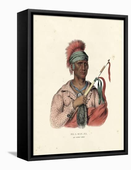 An Ioway Chief-McKenney & Hall-Framed Stretched Canvas