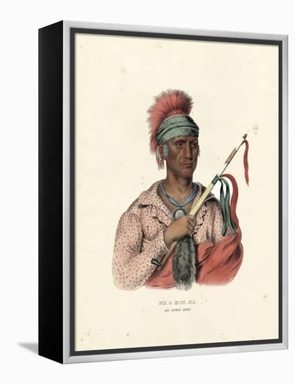 An Ioway Chief-McKenney & Hall-Framed Stretched Canvas