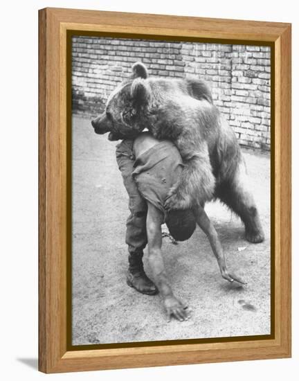 An Iranian Performace of a Man Wrestling a Bear in Public-Dmitri Kessel-Framed Premier Image Canvas