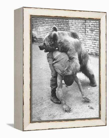 An Iranian Performace of a Man Wrestling a Bear in Public-Dmitri Kessel-Framed Premier Image Canvas