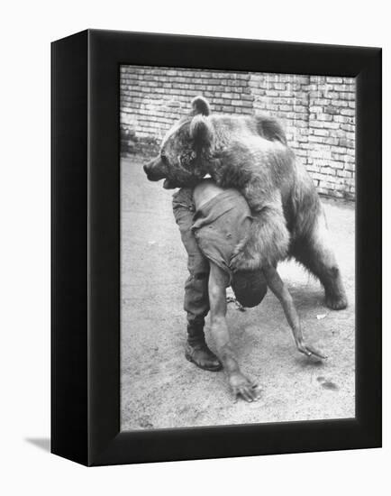 An Iranian Performace of a Man Wrestling a Bear in Public-Dmitri Kessel-Framed Premier Image Canvas