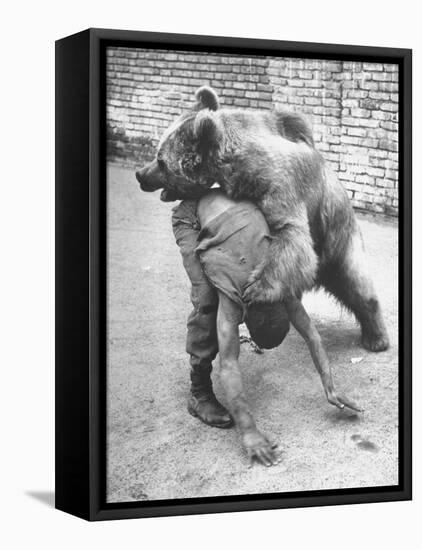 An Iranian Performace of a Man Wrestling a Bear in Public-Dmitri Kessel-Framed Premier Image Canvas