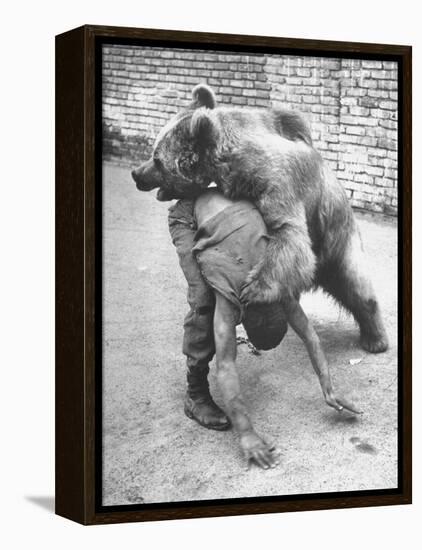 An Iranian Performace of a Man Wrestling a Bear in Public-Dmitri Kessel-Framed Premier Image Canvas