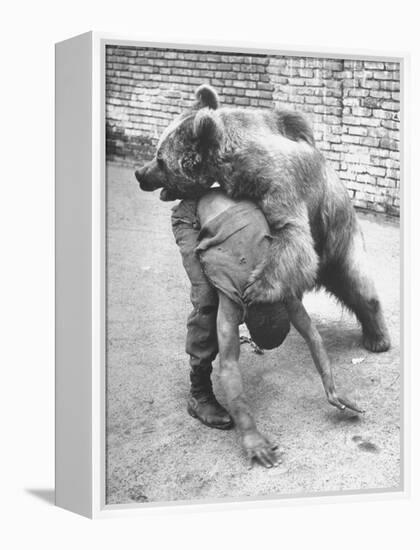 An Iranian Performace of a Man Wrestling a Bear in Public-Dmitri Kessel-Framed Premier Image Canvas