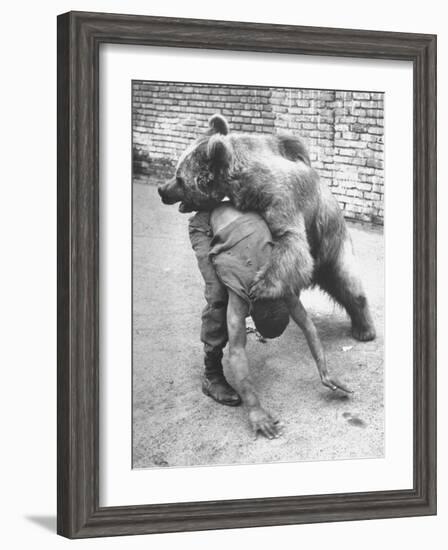 An Iranian Performace of a Man Wrestling a Bear in Public-Dmitri Kessel-Framed Photographic Print