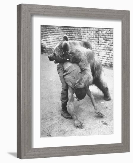 An Iranian Performace of a Man Wrestling a Bear in Public-Dmitri Kessel-Framed Photographic Print