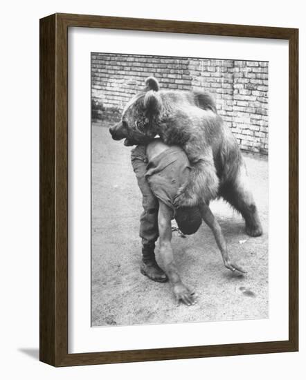 An Iranian Performace of a Man Wrestling a Bear in Public-Dmitri Kessel-Framed Photographic Print