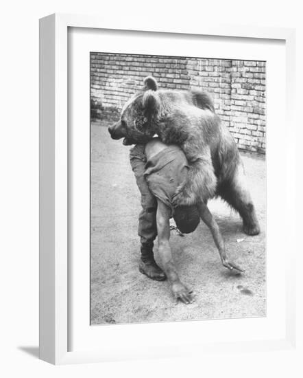 An Iranian Performace of a Man Wrestling a Bear in Public-Dmitri Kessel-Framed Photographic Print