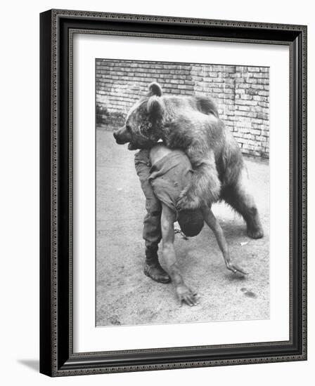 An Iranian Performace of a Man Wrestling a Bear in Public-Dmitri Kessel-Framed Photographic Print