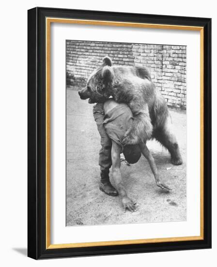 An Iranian Performace of a Man Wrestling a Bear in Public-Dmitri Kessel-Framed Photographic Print