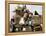 An Iraqi Family and Their Sheep Ride on Their Tractor to Fetch Water Outside the Town of Najaf-null-Framed Premier Image Canvas