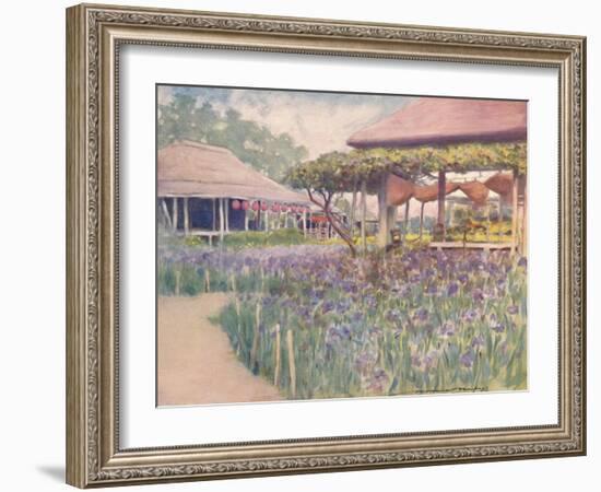 'An Iris Garden', 1903-Mortimer L Menpes-Framed Giclee Print