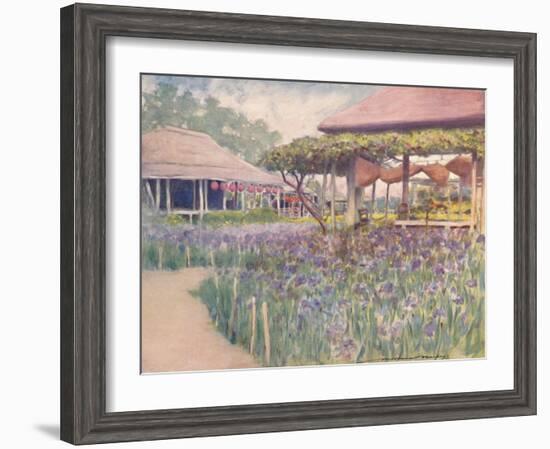 'An Iris Garden', 1903-Mortimer L Menpes-Framed Giclee Print