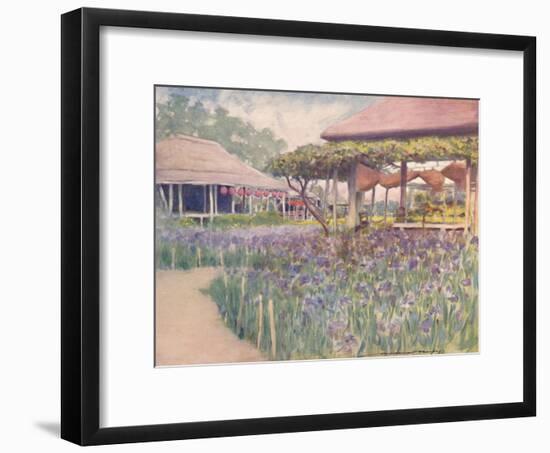 'An Iris Garden', 1903-Mortimer L Menpes-Framed Giclee Print
