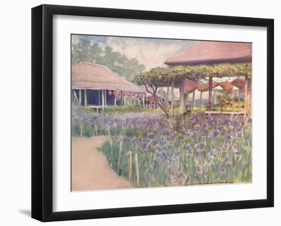 'An Iris Garden', 1903-Mortimer L Menpes-Framed Giclee Print